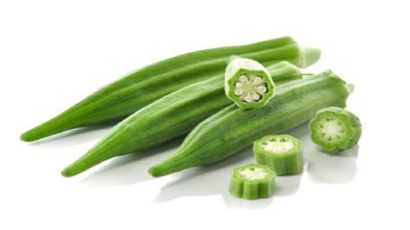 organic-production-of-okra-agrihortico