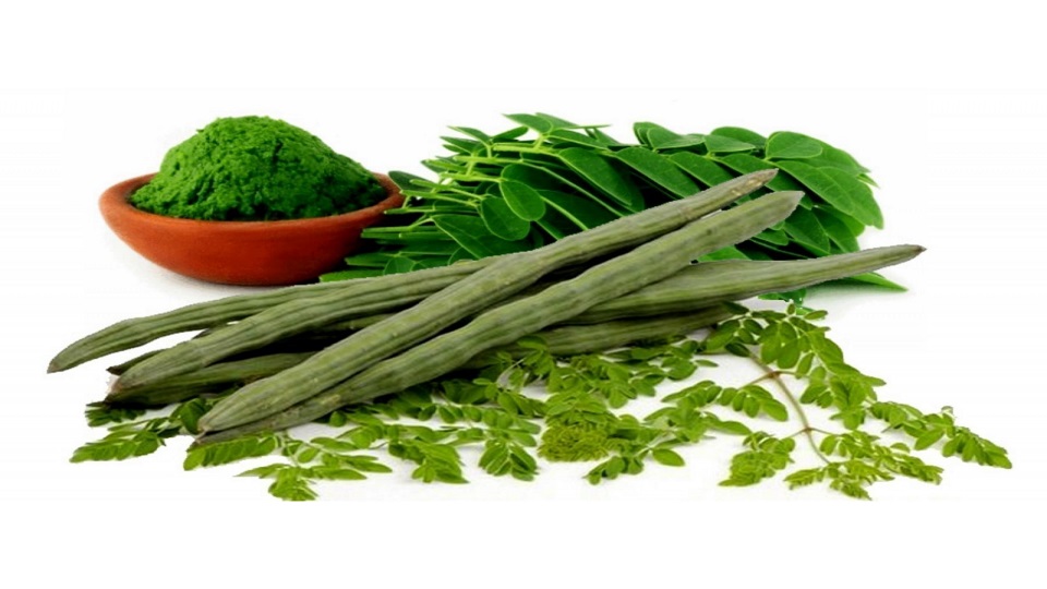 Moringa royal herbs